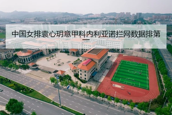 中国女排袁心玥意甲科内利亚诺拦网数据排第一