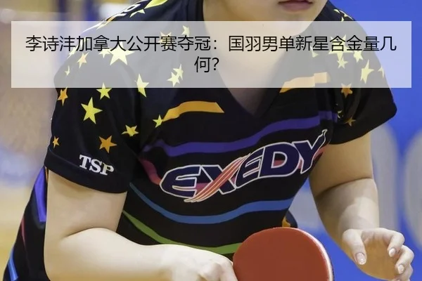 li-shi-feng-jia-na-da-gong-kai-sai-duo-guan-guo-yu-nan-dan-xin-xing-han-jin-liang-ji-he-3-549.jpg