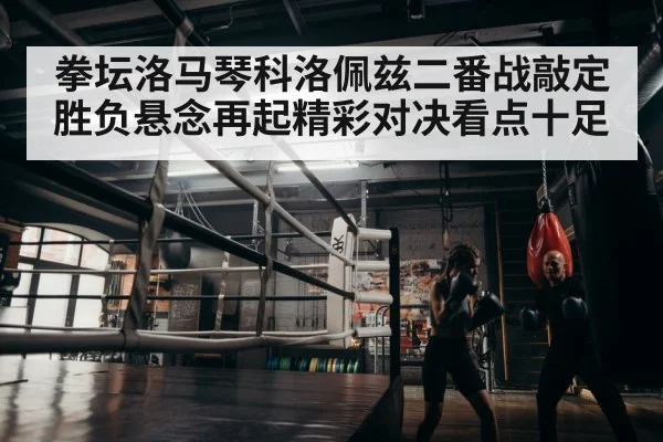 boxer training