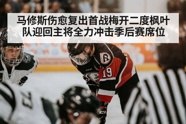 NHL hockey action
