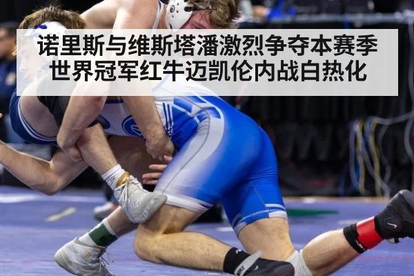 诺里斯与维斯塔潘激烈争夺本赛季世界冠军红牛迈凯伦内战白热化